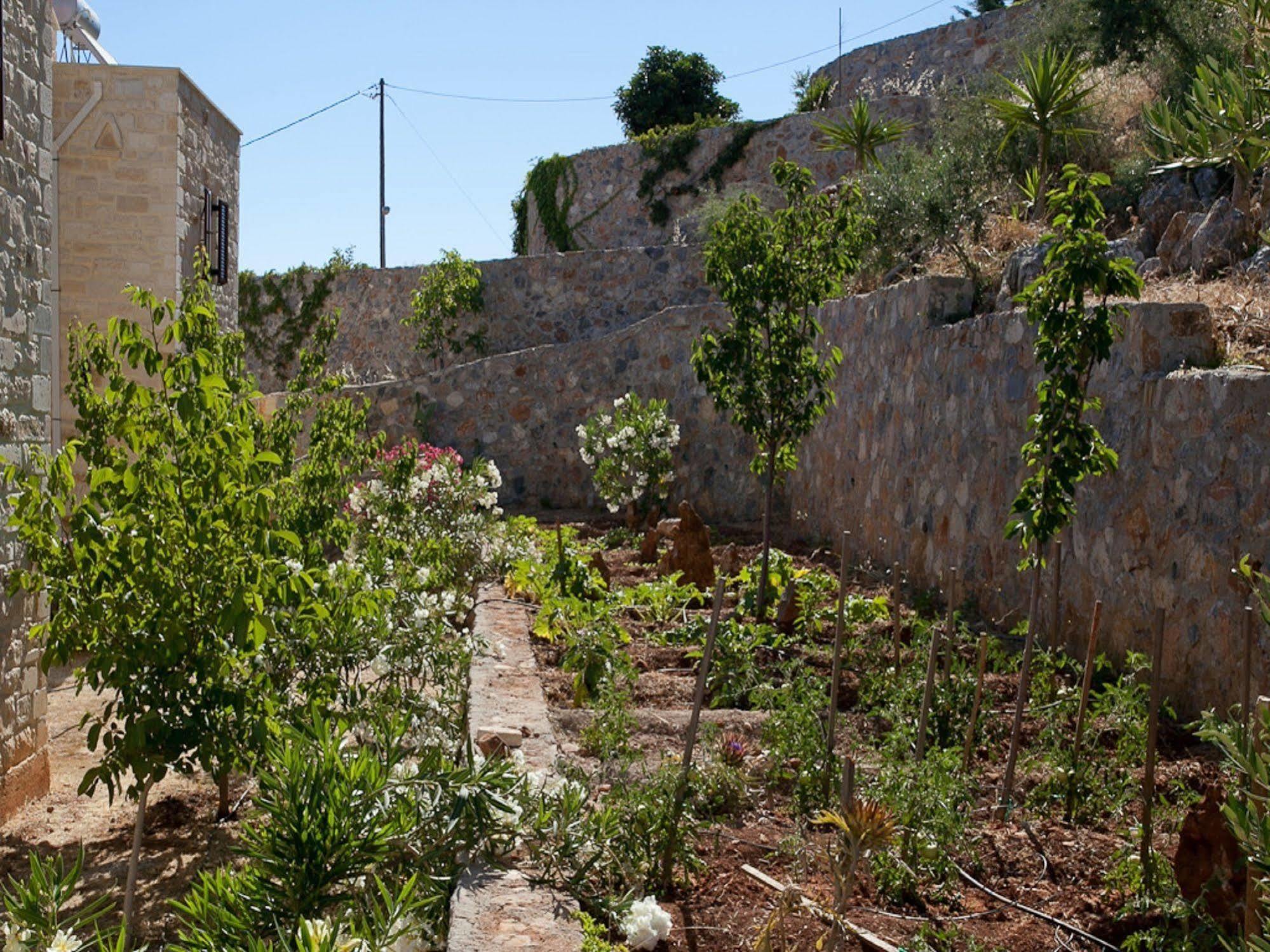 Villa Apollo - Saint George'S Retreat Village Kokkino Chorio Esterno foto